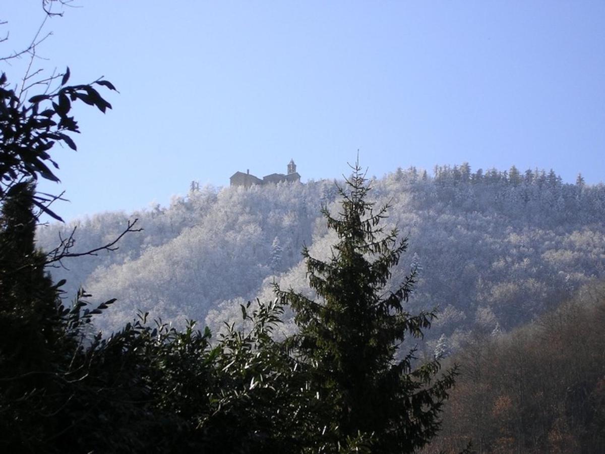 Villa Porcigliano Olive Grove Polcanto Buitenkant foto