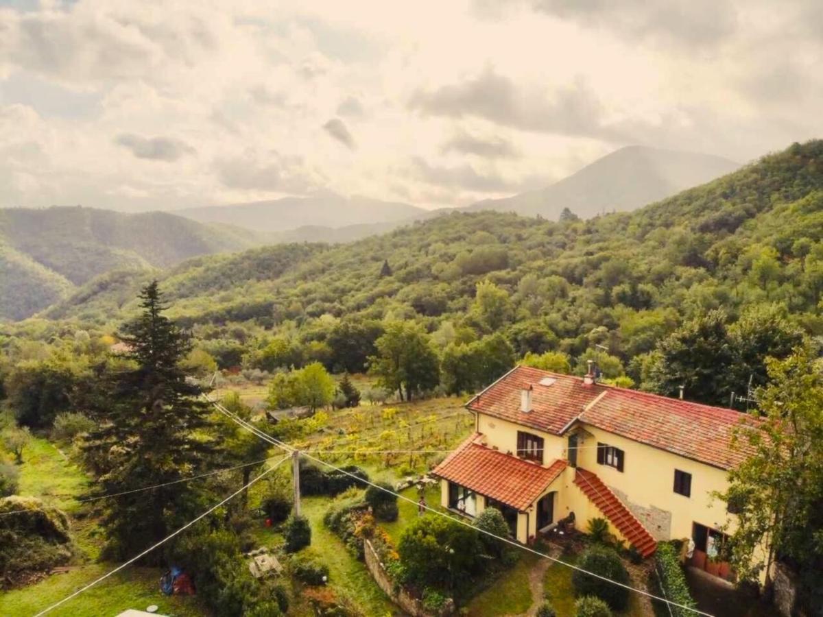 Villa Porcigliano Olive Grove Polcanto Buitenkant foto