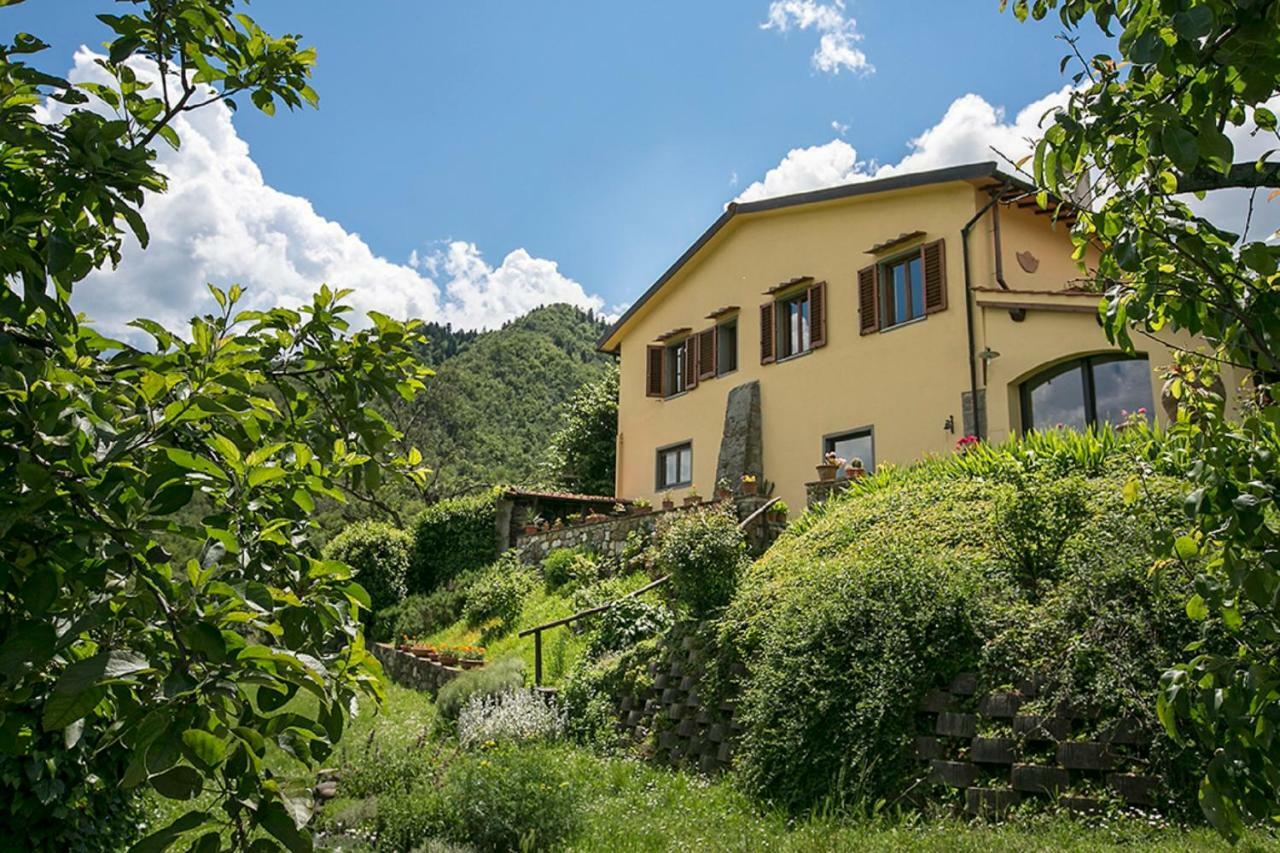 Villa Porcigliano Olive Grove Polcanto Buitenkant foto