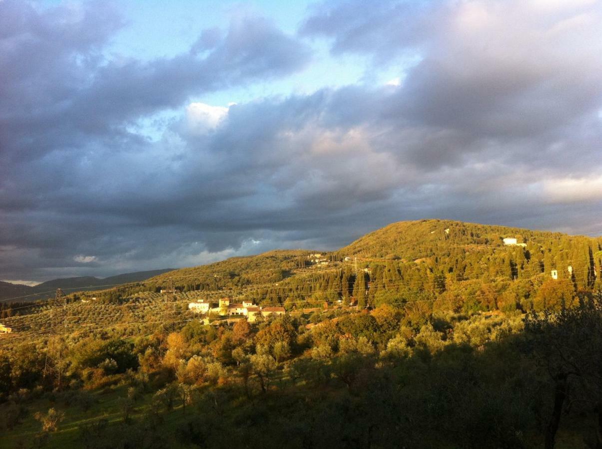 Villa Porcigliano Olive Grove Polcanto Buitenkant foto