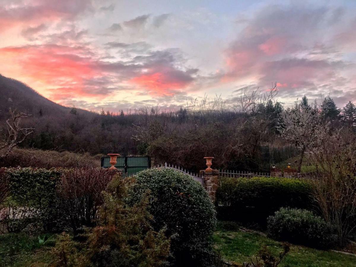 Villa Porcigliano Olive Grove Polcanto Buitenkant foto